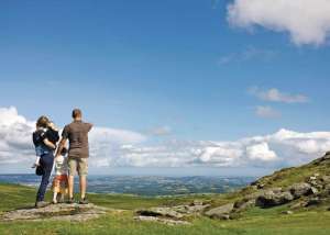 Dartmoor View